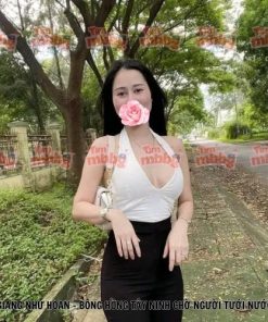 Giang Như Hoan - Bông hồng Tây Ninh chờ người tưới nước