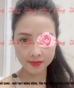 Hồ Song - Máy bay năng động, tìm phi công remix cuộc đời