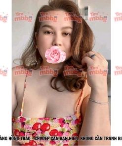 Hoàng Hồng Thảo - Máy bay bà già Bình Thạnh tìm em trai hiền lành