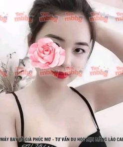 Máy bay bà già Phúc Mơ - Tư vấn du học mịn màng Lào Cai